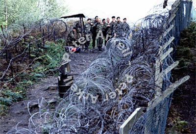 greenham006